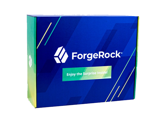 ForgeRock IPO 1