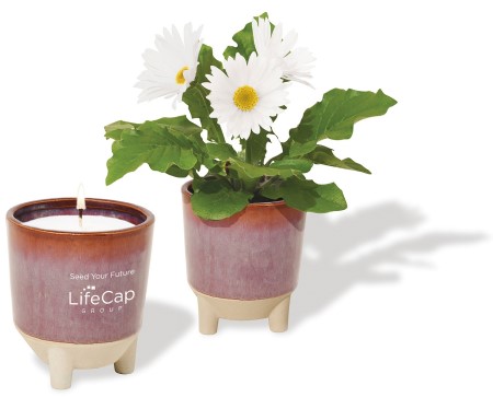 Sales Gifts for Prospects - Planter